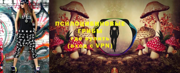 ALPHA PVP Алексин