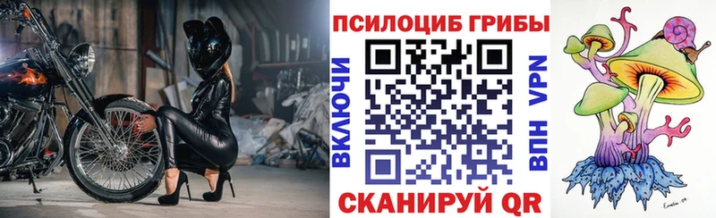 blacksprut   Бежецк  Галлюциногенные грибы MAGIC MUSHROOMS 